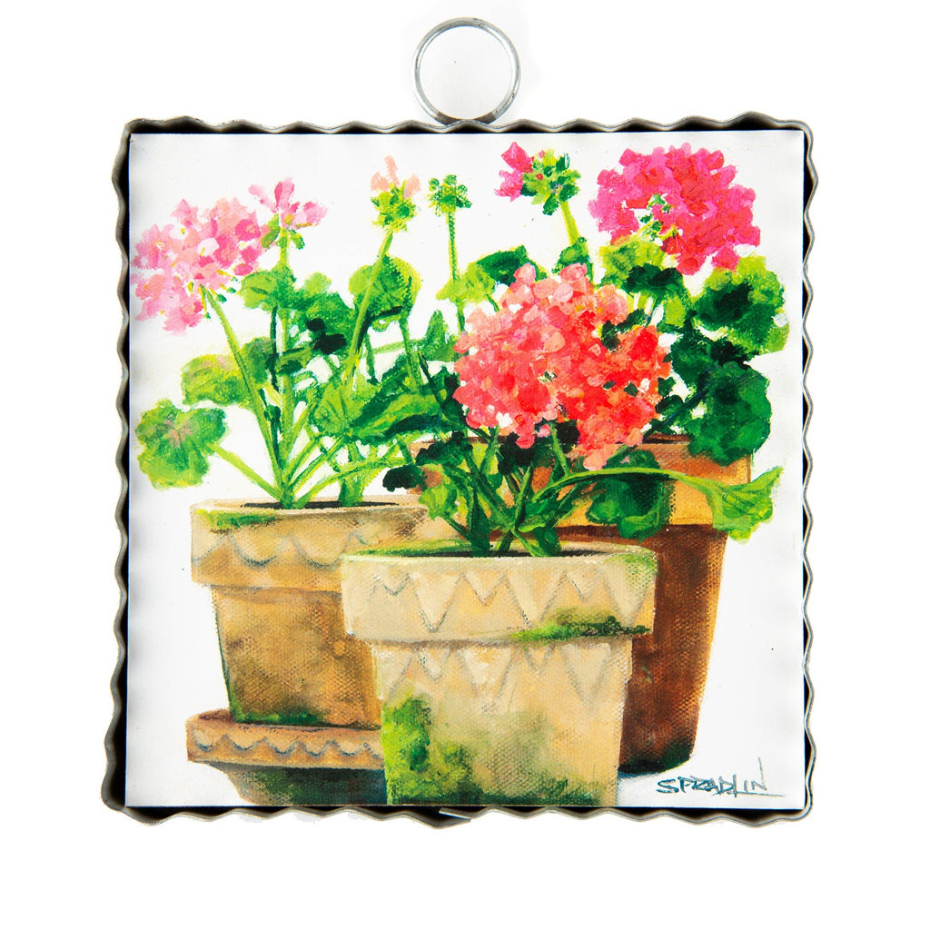 Mini Gallery Pots of Geraniums