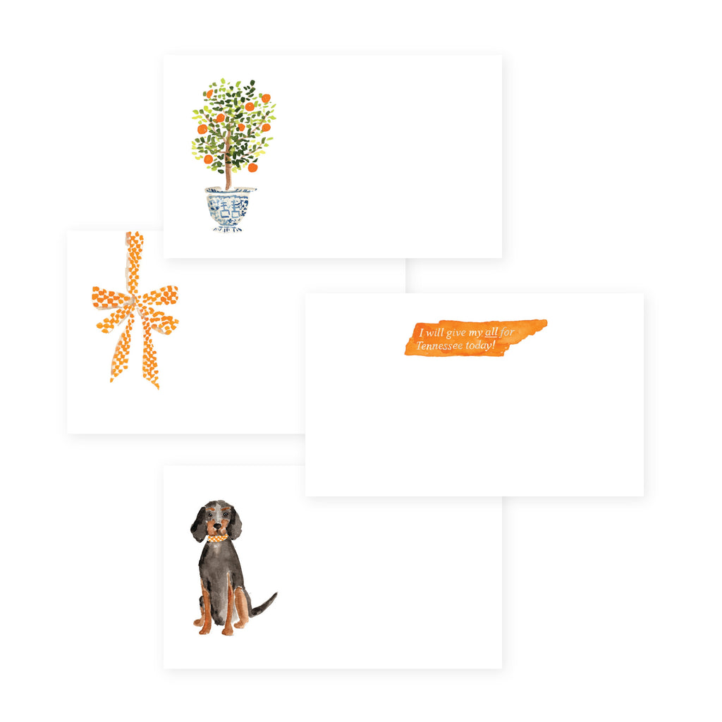 Tennessee TidBits Mini Notes - set of 50